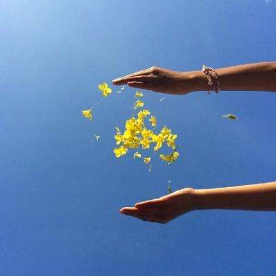 9游体育官网登录入口最新版